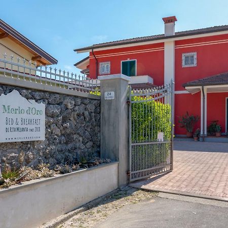Merlo D'Oro 卡拉拉 外观 照片